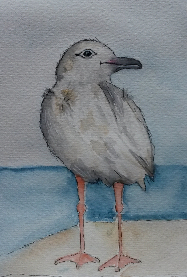 Seagull01
